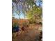 Backyard featuring desert landscaping with decorative rock, fountain, and rock border at 8993 Secret Valley St, Las Vegas, NV 89139