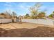 The backyard is spacious and private, enclosed by a white brick wall with landscaping potential for outdoor activities at 2802 Secret Canyon Rd, Las Vegas, NV 89074