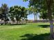 Large grassy park area with trees, perfect for outdoor activities and relaxing at 3318 N Decatur Blvd # 1059, Las Vegas, NV 89130