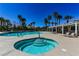 Relaxing community pool and hot tub surrounded by mature palm trees and lounge chairs at 10341 Birch Bluff Ln, Las Vegas, NV 89145