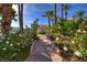 Charming walkway over a small bridge, lined with white roses, leading to a beautiful home at 52 Via Paradiso St, Henderson, NV 89011