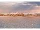 Large gravel lot and back yard features mature trees, and space to roam at 620 W Leffner Dr, Pahrump, NV 89060