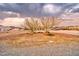 Gravel yard with desert landscaping and trees, fronting a ranch style home at 620 W Leffner Dr, Pahrump, NV 89060