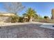 Backyard featuring a palm tree, desert landscaping, and block perimeter wall at 7836 Pinnochio Ave, Las Vegas, NV 89131