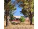 Exterior view of home from between the trees with solar panels and large yard at 1211 Bourbon St, Pahrump, NV 89048