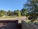 View of the expansive grassy and treed yard space at 1211 Bourbon St, Pahrump, NV 89048