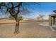 Expansive backyard featuring a low-maintenance gravel landscape, mature trees, and views beyond the privacy wall at 2516 Evansville Ave, Henderson, NV 89052