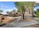 Expansive backyard with mature trees, concrete walkways, and ample space for recreation at 5785 N Tee Pee Ln, Las Vegas, NV 89149