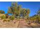 Scenic walking path with natural stone accents winding through landscaped gardens and native vegetation at 1532 Via Cassia, Henderson, NV 89052