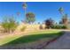 A lush lawn surrounded by mature trees and landscaping, complete with a privacy wall at 4194 Greenpoint St, Las Vegas, NV 89147