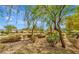 Neighborhood park with mature trees and landscaping, providing shaded areas and visual appeal at 4977 Vacaville Ave, Las Vegas, NV 89139