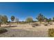 Expansive view of the well-maintained golf course with scattered trees under a bright blue sky at 7921 Fantail Dr, North Las Vegas, NV 89084