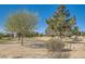 Scenic view of the lush green golf course with mature trees and landscaping, set against a clear blue sky at 7921 Fantail Dr, North Las Vegas, NV 89084