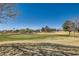 Beautiful view of the golf course, with a manicured green, framed by trees and mountains in the distance at 7921 Fantail Dr, North Las Vegas, NV 89084
