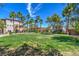 Beautiful community green space lined with palms and landscaping with benches for residents to enjoy at 1056 Via Panfilo Ave, Henderson, NV 89011