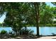 Peaceful pond view framed by mature trees and green foliage along the shoreline at 10800 Amber Ridge Dr # 103, Las Vegas, NV 89144