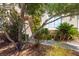 Lush garden with mature trees and shrubs creating a serene outdoor space at 5014 Thunder River Cir, Las Vegas, NV 89148