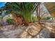 Home's backyard featuring mature trees and hardscape, offering tranquility at 2367 E Hacienda Ave, Las Vegas, NV 89119