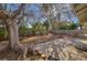 Spacious backyard showcasing mature trees and hardscape, perfect for outdoor enjoyment at 2367 E Hacienda Ave, Las Vegas, NV 89119
