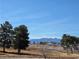 Scenic view featuring mature trees, open fields, and distant mountains against a clear blue sky at 741 Bourbon St # E3, Pahrump, NV 89048