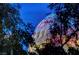 A view of the High Roller Wheel peeking through tree branches at 210 E Flamingo Rd # 326, Las Vegas, NV 89169