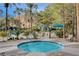 Inviting jacuzzi at the community pool, surrounded by lush landscaping and palm trees at 210 E Flamingo Rd # 326, Las Vegas, NV 89169
