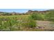 Views of the backyard with a golf course at 33 Via Di Mello, Henderson, NV 89011
