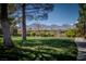 Serene backyard view with lush green lawn, mature trees, and a charming bench for enjoying the tranquil surroundings at 504 Pinnacle Heights Ln, Las Vegas, NV 89144