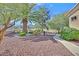 Manicured backyard with low-maintenance landscaping, trees, and walkway at 2905 Haddon Dr, Las Vegas, NV 89134