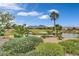 Scenic view of a lush golf course with a pond and palm trees at 2905 Haddon Dr, Las Vegas, NV 89134