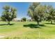 Well-manicured golf course provides a scenic backdrop for these beautiful homes at 737 Oakmont Ave # 1202, Las Vegas, NV 89109