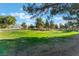 Scenic golf course view with lush green fairway, mature trees, and distant mountain views at 3603 Herring Gull Ln, North Las Vegas, NV 89084
