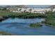 Community water feature with lush marshland and aquatic plants at 996 Cetona Ct, Henderson, NV 89011