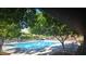 Community pool featuring plenty of lounge chairs, umbrellas, and mature trees for a relaxing outdoor experience at 11441 Allerton Park Dr # 212, Las Vegas, NV 89135