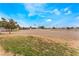Wide open horse property with grass and a training area at 1462 Rawhide St, Las Vegas, NV 89119