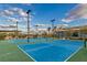 Outdoor pickleball courts perfect for active residents at 4315 E Cactus Canyon Dr, Pahrump, NV 89061