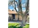 Inviting front entrance with neutral-colored siding and security door at 5083 Village Dr, Las Vegas, NV 89142