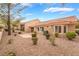 The backyard boasts desert landscaping, a sand pit, and a covered patio at 10041 Arbuckle Dr, Las Vegas, NV 89134