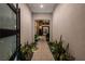 Inviting entryway with a stone walkway, lush plants, and decorative lighting creating a warm welcome at 12 Olympia Chase Dr, Las Vegas, NV 89141