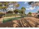 Community pickleball court providing a social, active lifestyle with well-maintained facilities at 3440 Pino Cir, Las Vegas, NV 89121