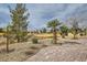 Picturesque backyard featuring mature trees, desert landscaping, and a brick paver walkway at 7567 Wingspread St, North Las Vegas, NV 89084