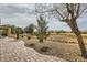 Landscaped backyard featuring a brick paver walkway and mature desert trees at 7567 Wingspread St, North Las Vegas, NV 89084