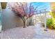 Charming courtyard with mature tree, decorative iron gate and an inviting pergola at 10227 Sunset Gardens Dr, Las Vegas, NV 89135
