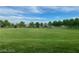 A large green space with mature trees offers a perfect place for walking and recreation at 10227 Sunset Gardens Dr, Las Vegas, NV 89135