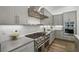 Beautiful kitchen featuring stainless steel appliances, ample counter space, and gray cabinets at 11181 Luna Blanca Dr, Las Vegas, NV 89138