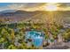 Breathtaking aerial view of the community pool, surrounded by lush palm trees and scenic mountain backdrop at 141 Fox Lake Ave, Las Vegas, NV 89148
