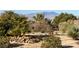 Backyard oasis featuring desert landscaping, native plants, and gravel at 2401 Orangeburg Pl, Henderson, NV 89044