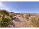 Open backyard with desert landscaping showcasing native plants and gravel at 2401 Orangeburg Pl, Henderson, NV 89044