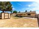 Backyard with storage shed and new grass at 4360 Wendy Ln, Las Vegas, NV 89115
