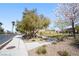 Landscaped neighborhood entrance with mature trees, green grass, decorative rocks, and concrete sidewalks at 2824 Shadows Edge Ct, Henderson, NV 89052